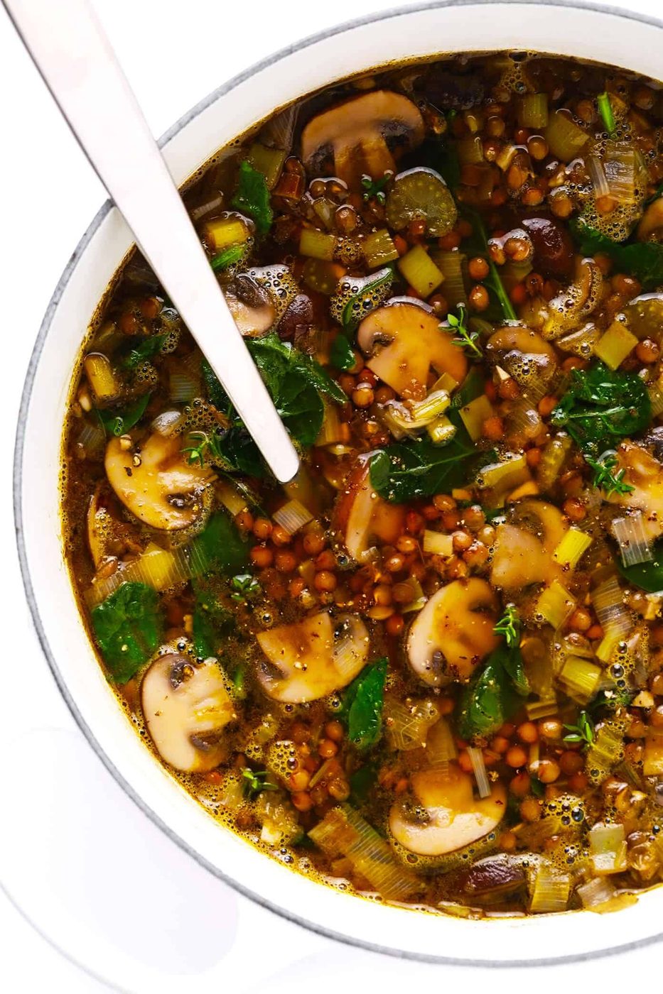 Homemade French Lentil and Mushroom Soup