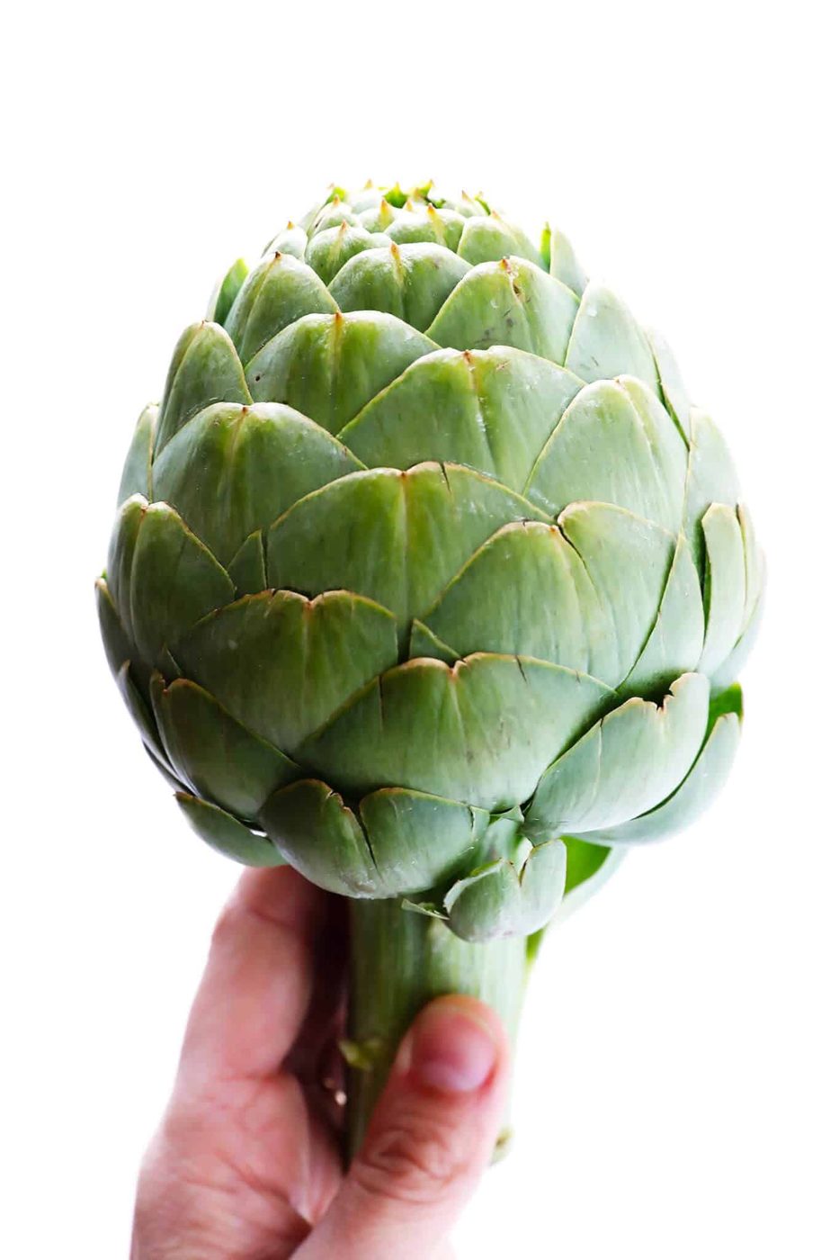 How To Cook and Eat an Artichoke at home
