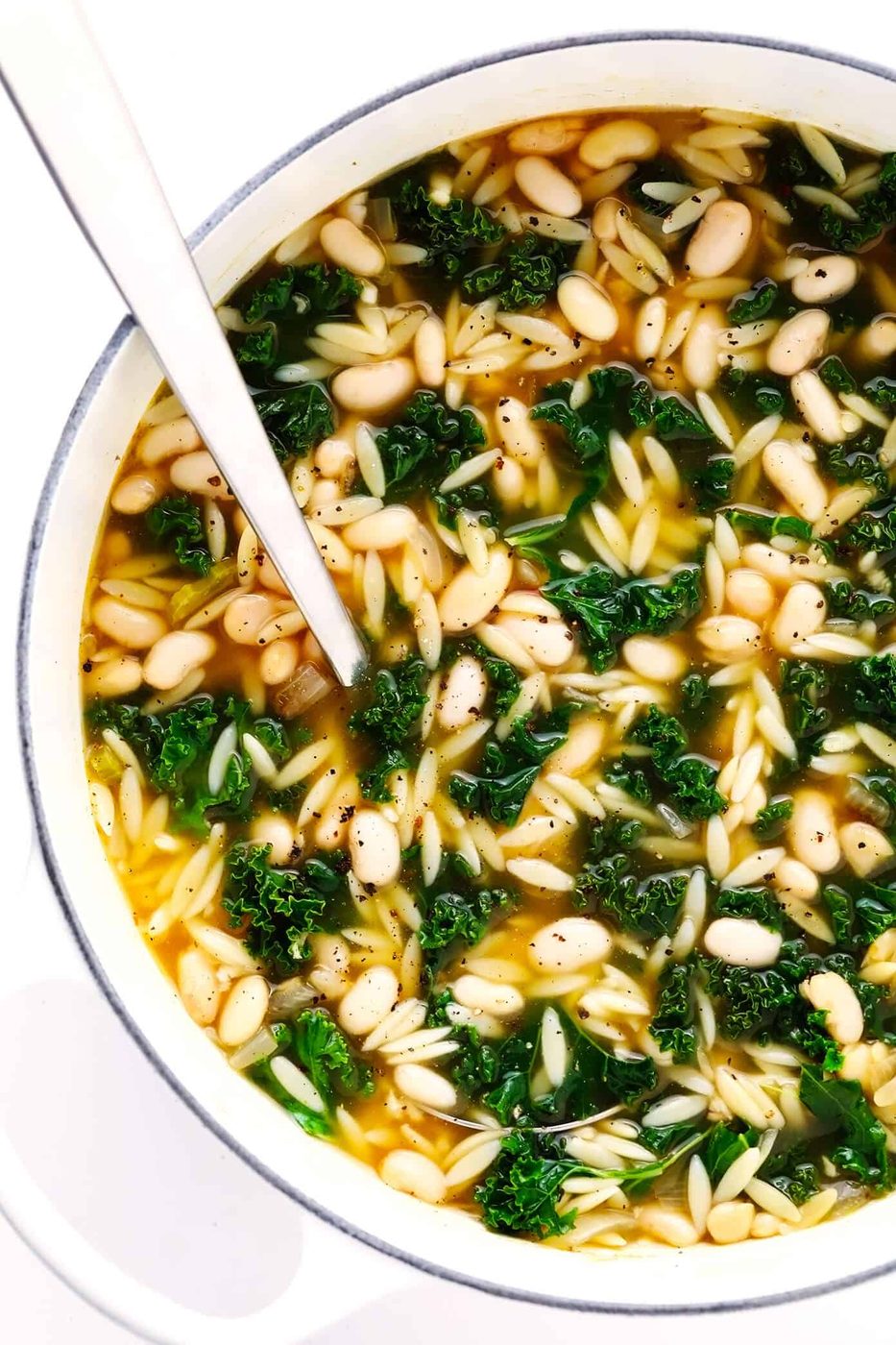 Homemade Kale, White Bean and Orzo Soup