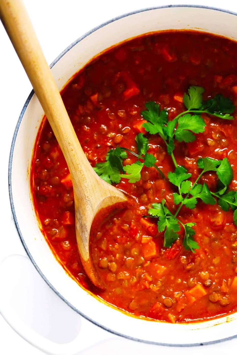 Homemade Tomato Lentil Curry