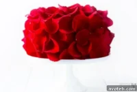 Elegant Rose Blossom Cake