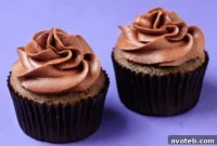 Spiced Mayan Chocolate Cupcakes with Cinnamon Cocoa Frosting