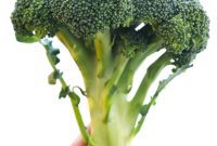 Effortless Broccoli Cutting