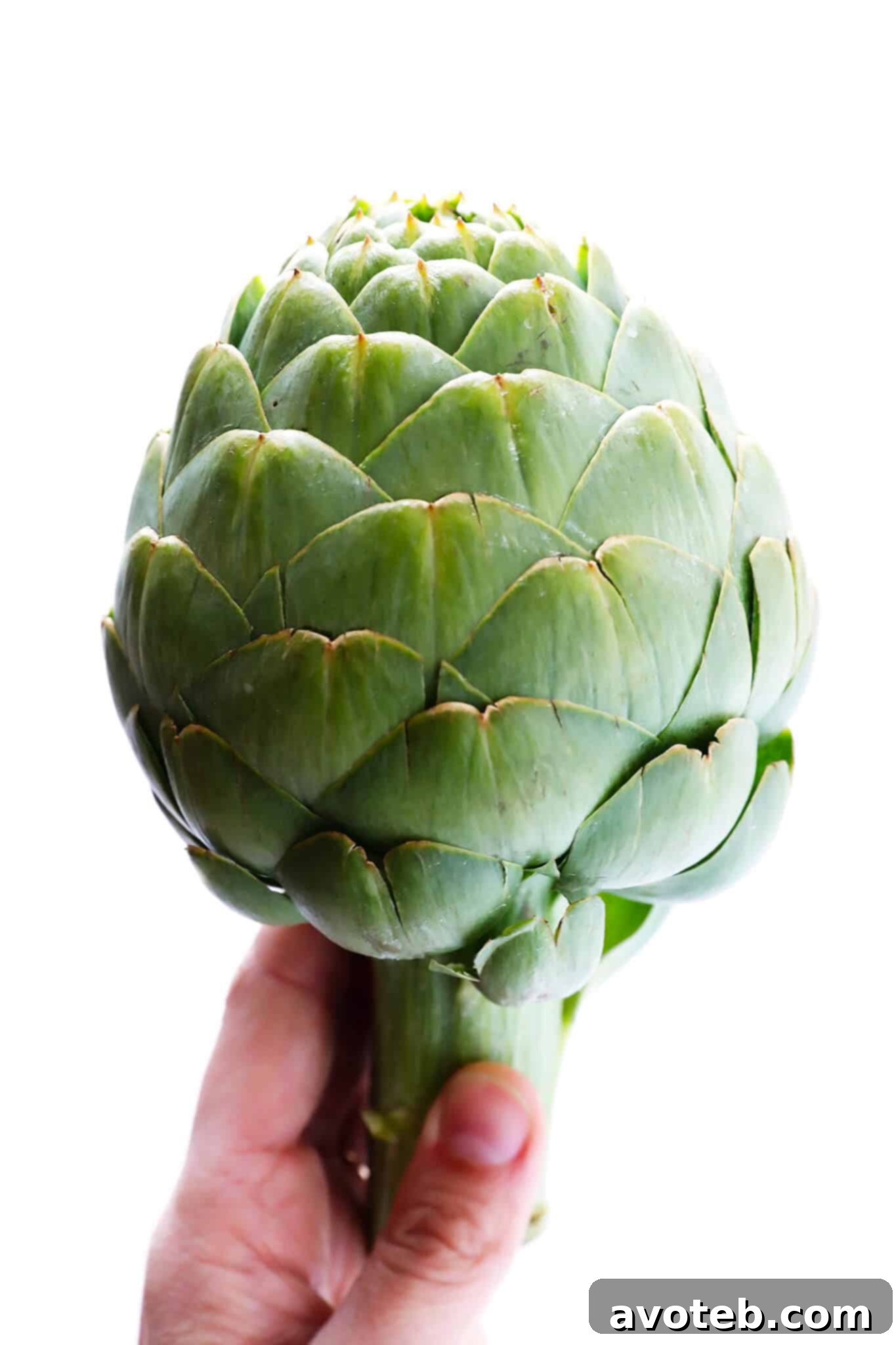 featured 42336