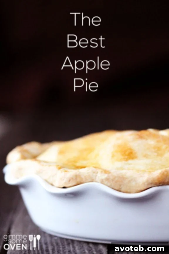 Classic Apple Pie Slice - Golden crust with spiced apple filling