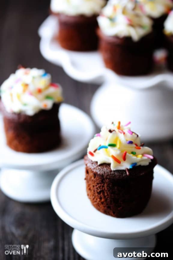 Assortment of Mini Flourless Chocolate Cakes on a serving plate.