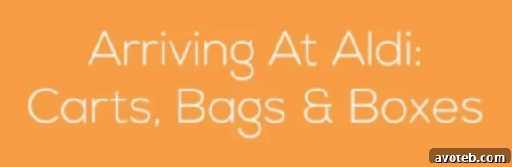 ALDI shopping carts, bags, and boxes for a smooth checkout