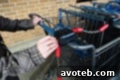 ALDI quarter deposit shopping cart system explained