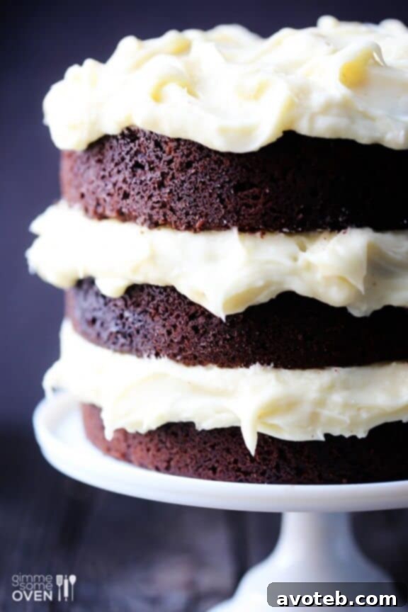 Decadent Guinness Chocolate Cake with Cream Cheese Frosting 6 Decorative Top of Guinness Chocolate Cake with Frosting