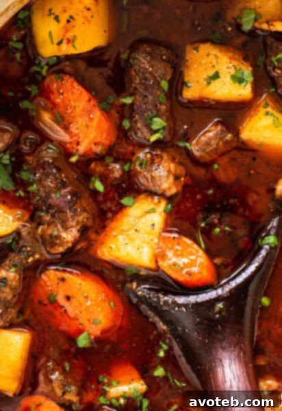Guinness Beef Stew Closeup
