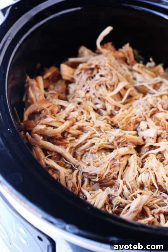 Close-up of Guinness Pulled Pork, showing its rich color and tender texture
