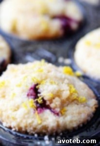 Lemon Blueberry Muffins with Streusel Topping