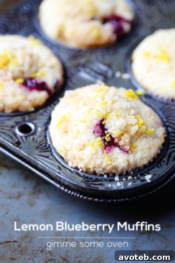 Inside view of a fluffy Lemon Blueberry Muffin