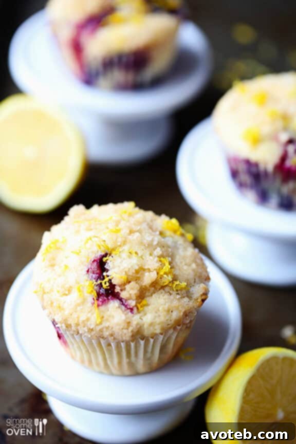 Mixing muffin batter with fresh blueberries
