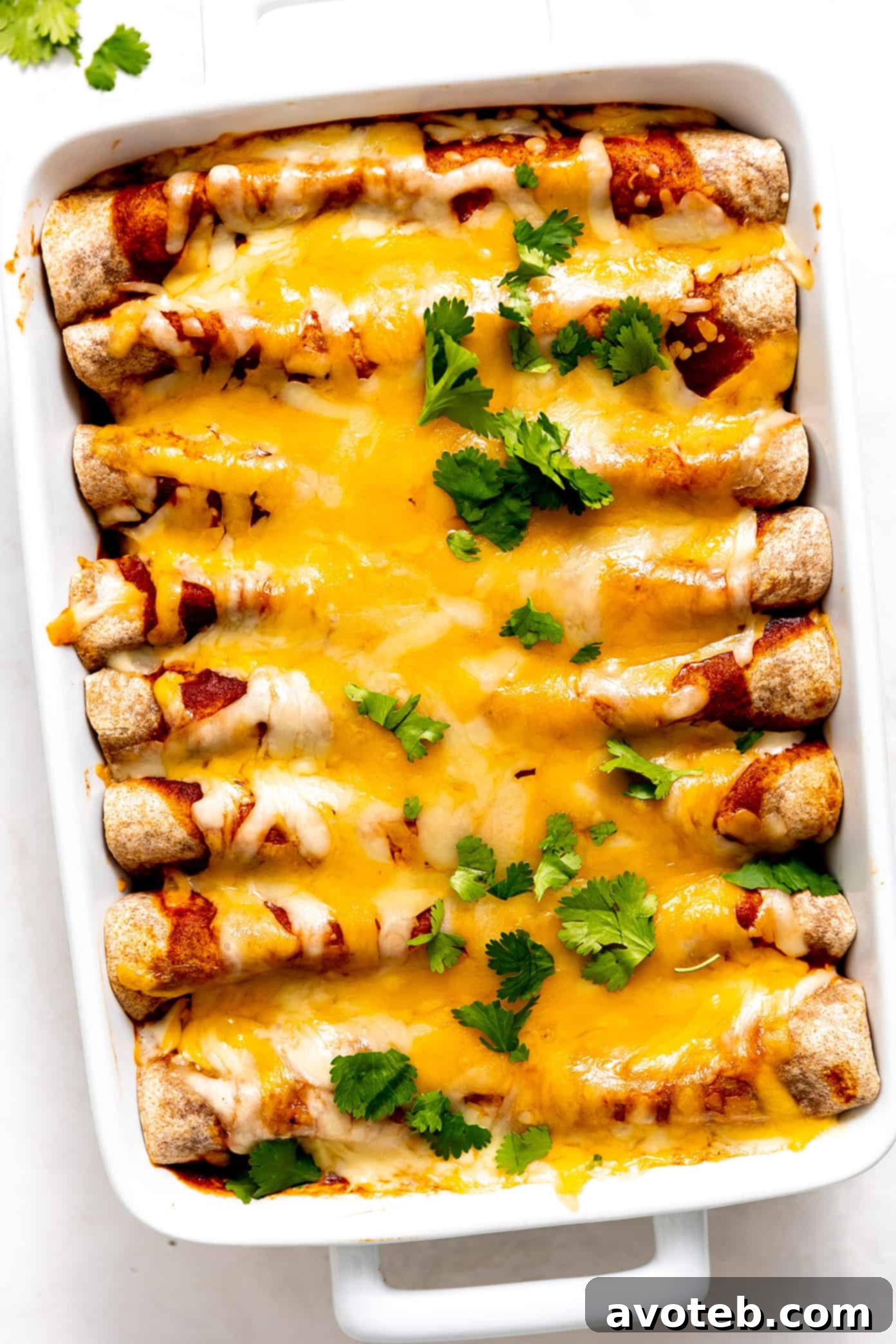 Roasted Vegetable Enchiladas
