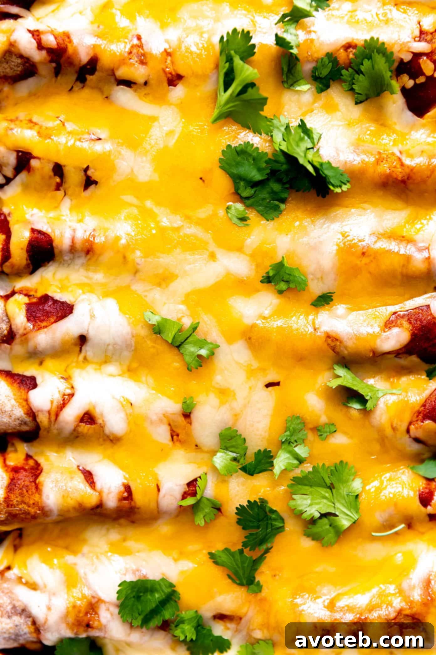 Vegetarian Enchiladas Closeup