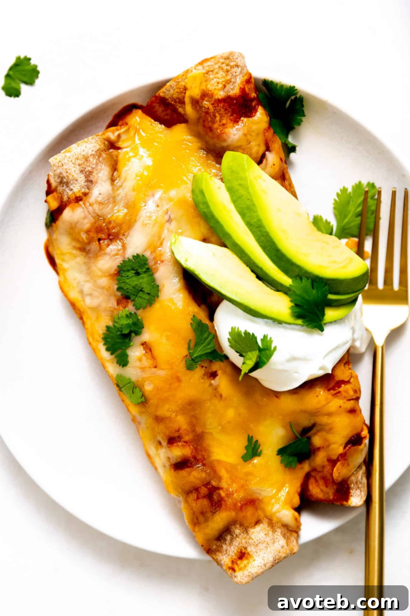 Vegetarian Enchiladas with Avocado on Plate