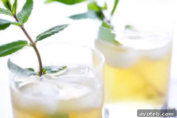 Two sparkling ginger mint juleps, perfect for sharing.