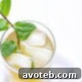 Sparkling Ginger Mint Julep Recipe