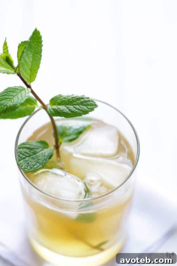 Closeup of a sparkling ginger mint julep with fresh mint garnish.