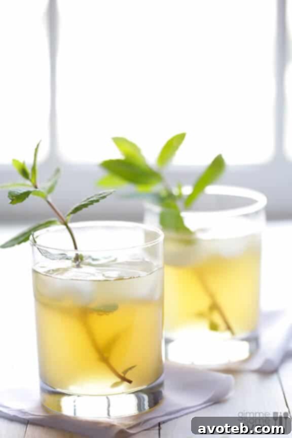 Vibrant sparkling ginger mint julep in a classic julep cup.