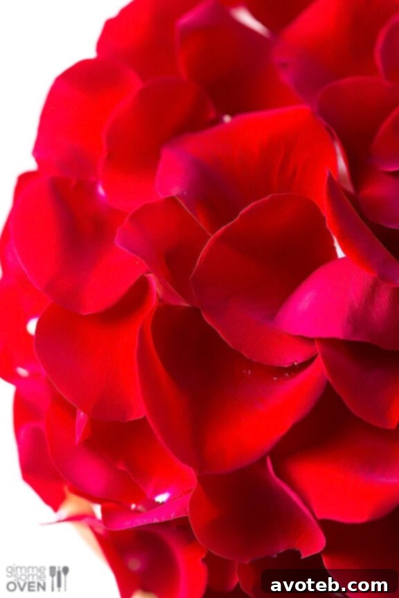 Rose Cake Layers
