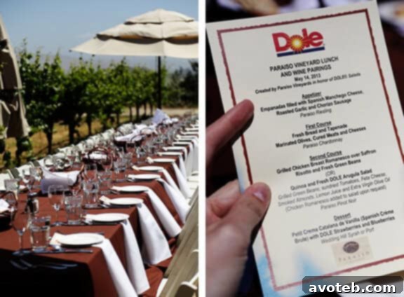 Scenic Views at Paraiso Vineyards during Dole Summit