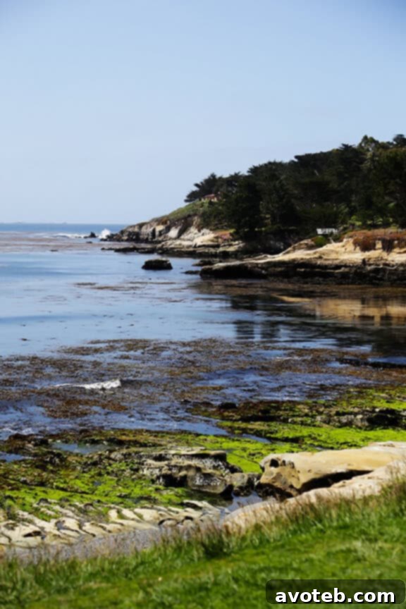 Stunning California Coastline and Ocean Views