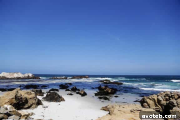 Ocean Views on Monterey's 17-Mile Drive