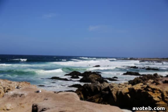 Group Photo of Bloggers on 17-Mile Drive