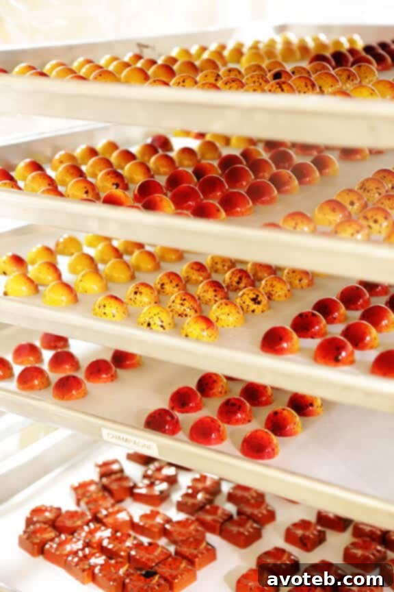 Elbow Chocolates: A Delicious Exploration 17 Chocolates cooling after being molded and scraped