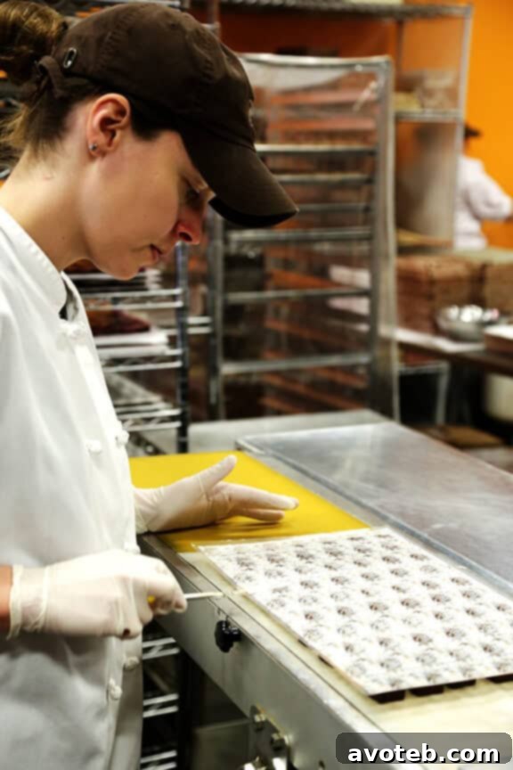 Elbow Chocolates: A Delicious Exploration 20 Chocolate-covered fillings on a conveyor belt