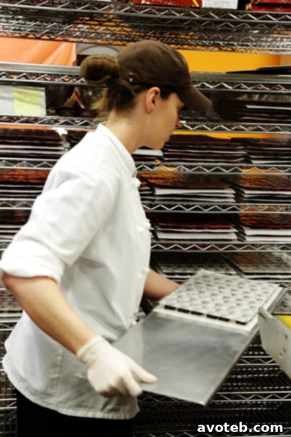 Elbow Chocolates: A Delicious Exploration 22 Quality control inspection of screen-printed chocolates