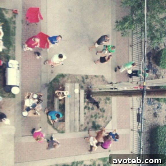 Neighbors and their dogs enjoying a lively evening