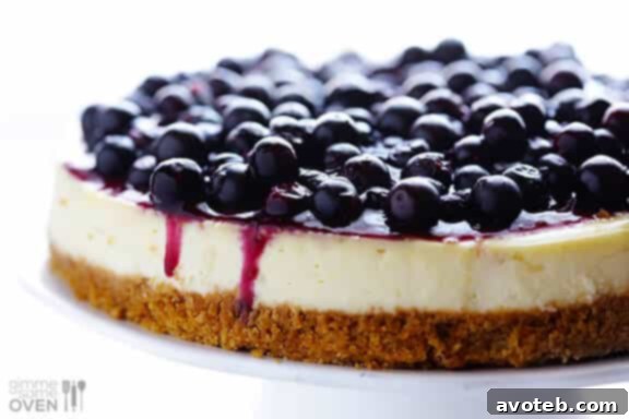 Delicious Lighter Blueberry Cheesecake Recipe | Perfect for Healthy Dessert Lovers