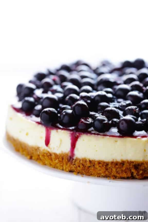 Lighter Blueberry Cheesecake Perfection | Creamy, Delicious, and Healthier