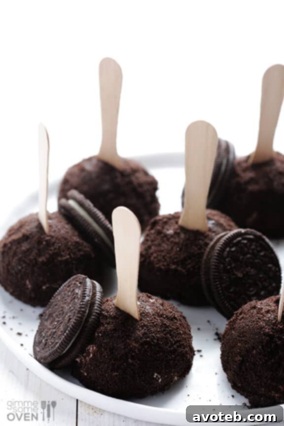 Haagen-Dazs Dark Chocolate Chip Gelato with Oreo Truffles