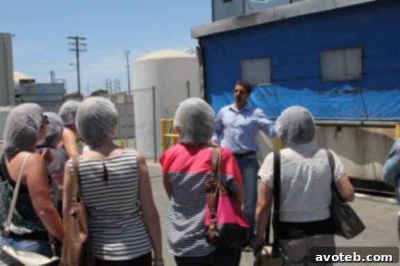 Hairnets for a food packing plant tour.