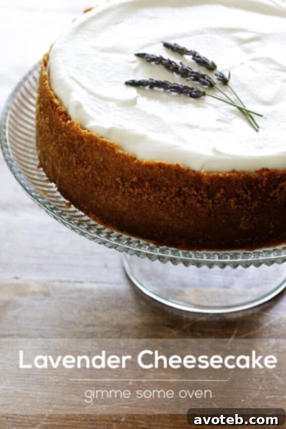 Lavender Cheesecake | gimmesomeoven.com