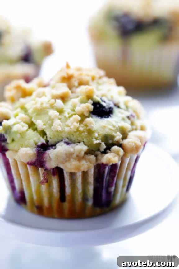 A final inviting image of the blueberry avocado muffins, emphasizing their homemade goodness and the joy of healthy baking.