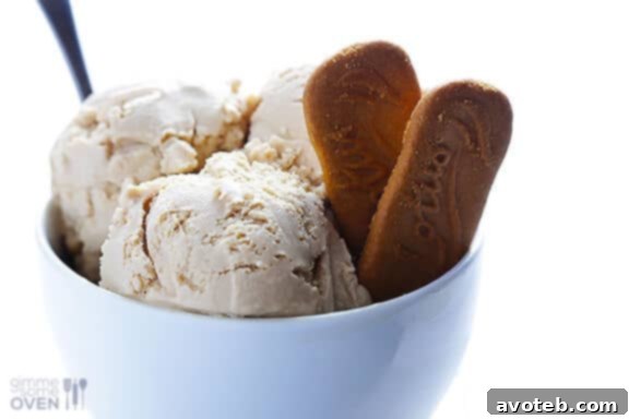 Biscoff Bliss Ice Cream 2 Biscoff Ice Cream Recipe: A creamy, delicious dessert made with the famous Biscoff spread and perfect for any occasion.