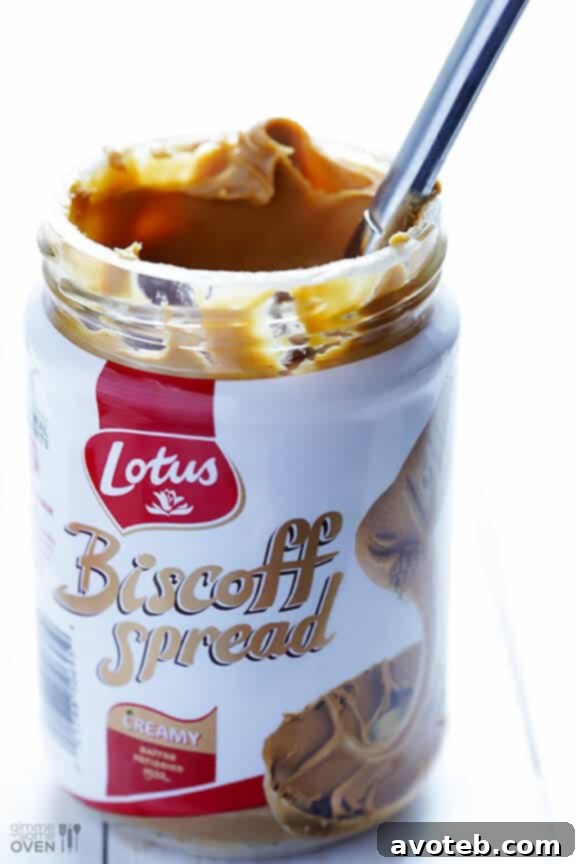Biscoff Bliss Ice Cream 3 Homemade Biscoff Ice Cream Recipe: A close-up of the rich, creamy texture, showcasing the delightful swirl of Biscoff spread.