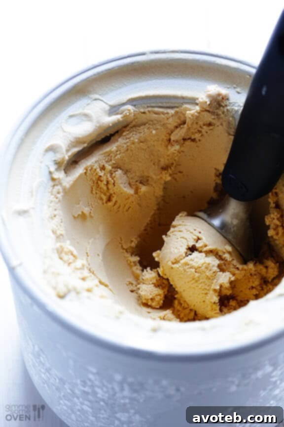 Biscoff Bliss Ice Cream 4 Delicious Biscoff Ice Cream: A perfectly scooped bowl, ready to be enjoyed, highlighting the creamy texture and inviting color.