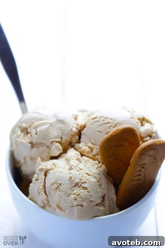 Biscoff Bliss Ice Cream 5 Close-up of freshly churned Biscoff Ice Cream in an ice cream maker, showing its creamy texture before freezing.