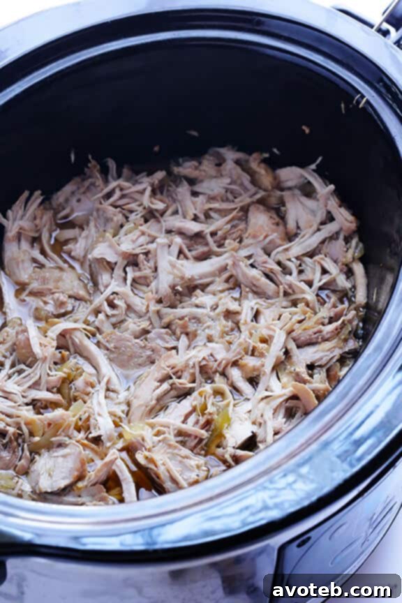 Slow Cooker Apple Cider Pulled Pork | gimmesomeoven.com