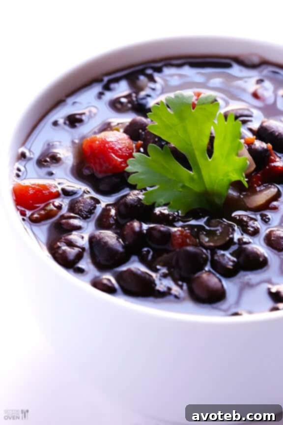 Ingredients for 5-Ingredient Black Bean Soup laid out, showcasing simplicity and freshness.