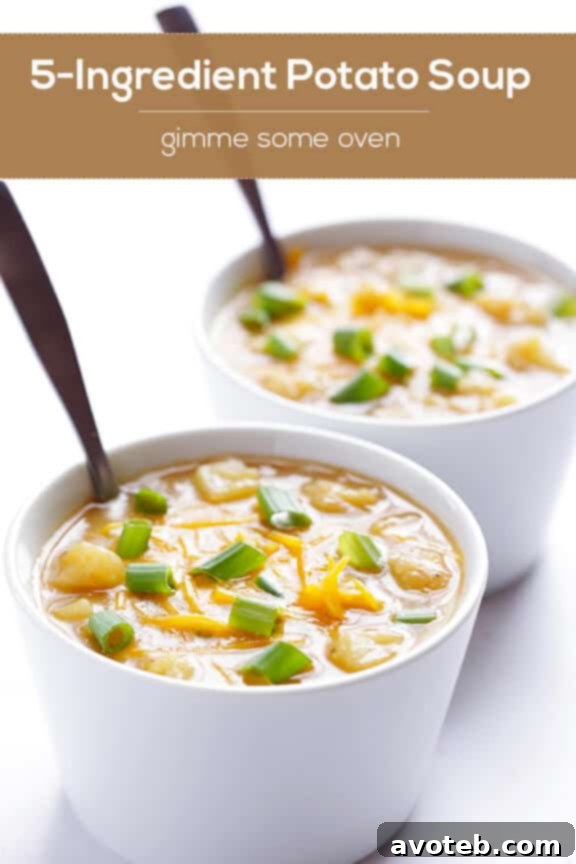 Cozy 5-Ingredient Potato Soup Final Shot