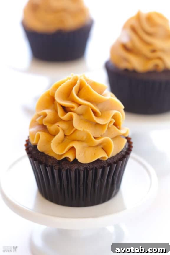 Classic Chocolate Peanut Butter Cupcakes Simple, unfancied Chocolate Peanut Butter Cupcakes.