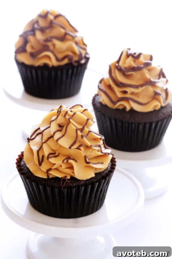 Drizzled Chocolate Peanut Butter Cupcakes Chocolate Peanut Butter Cupcakes drizzled with melted chocolate.