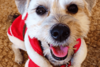 Warmest Yuletide Greetings